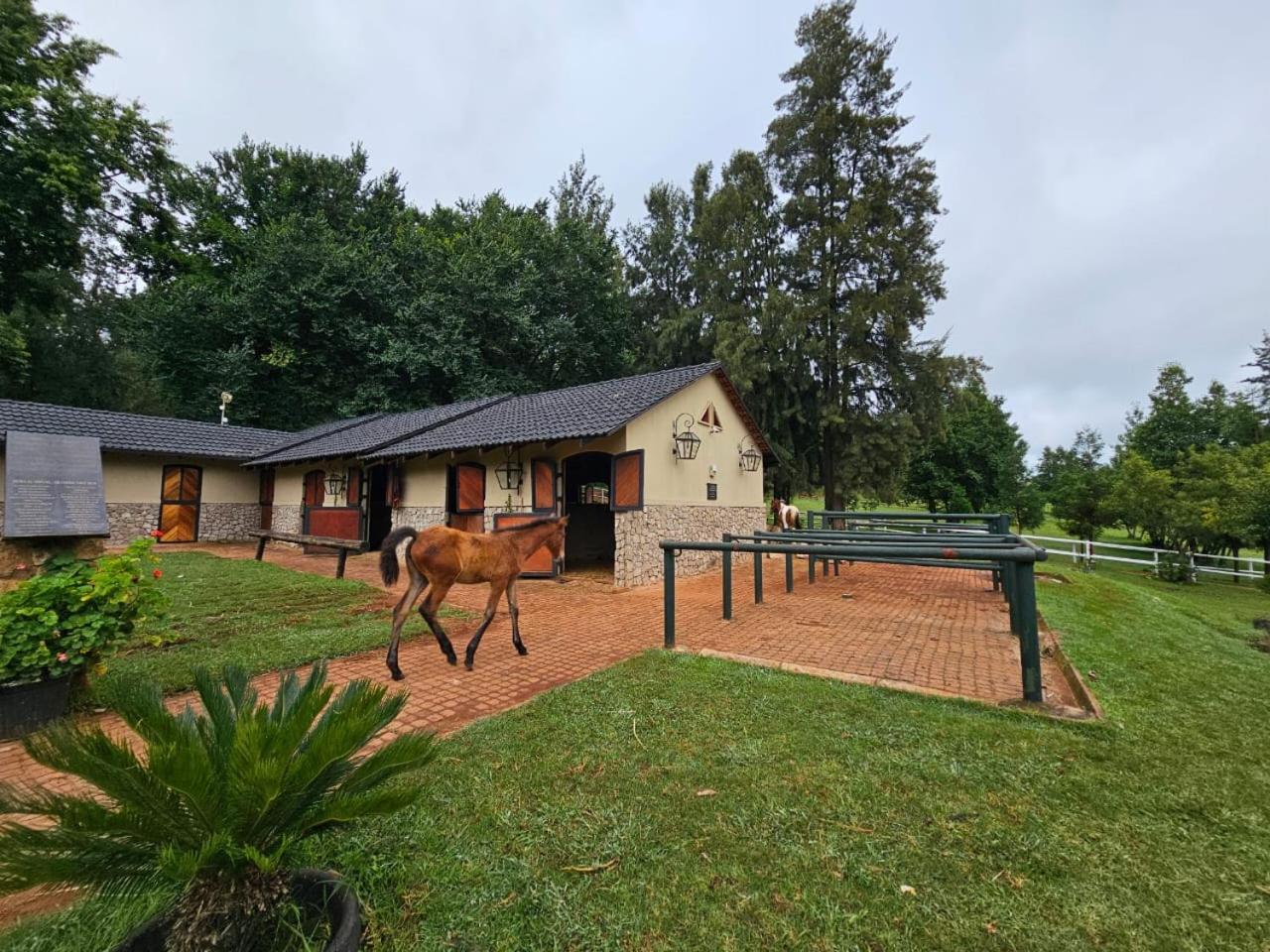 Silver Mist Resort, האנרטסבורג מראה חיצוני תמונה