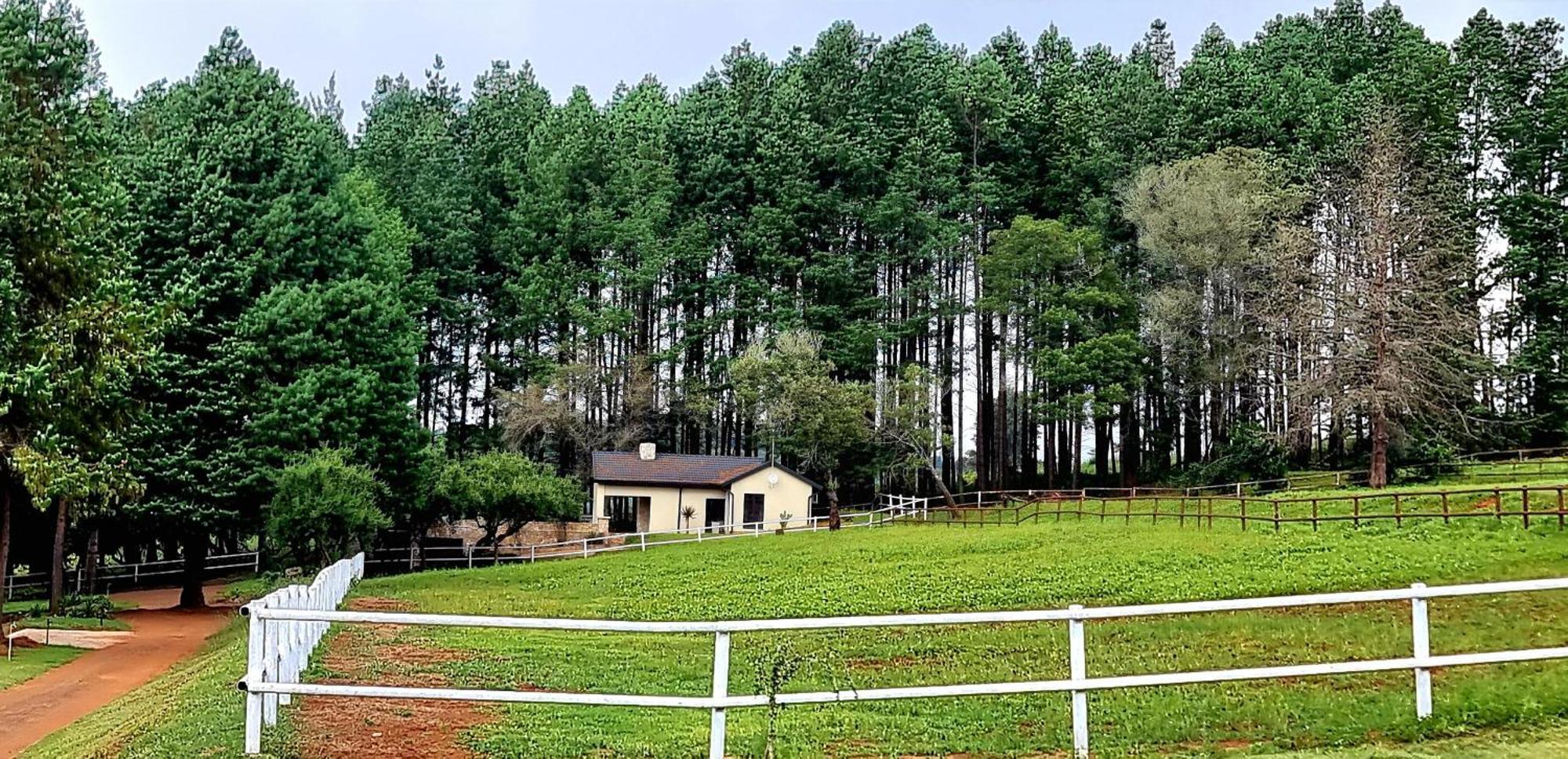 Silver Mist Resort, האנרטסבורג מראה חיצוני תמונה